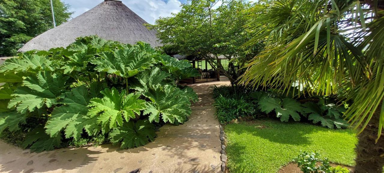 Amazian Mountain River Lodge Underberg Ngoại thất bức ảnh